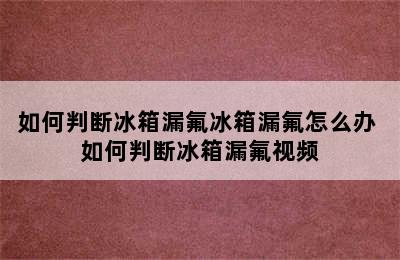 如何判断冰箱漏氟冰箱漏氟怎么办 如何判断冰箱漏氟视频